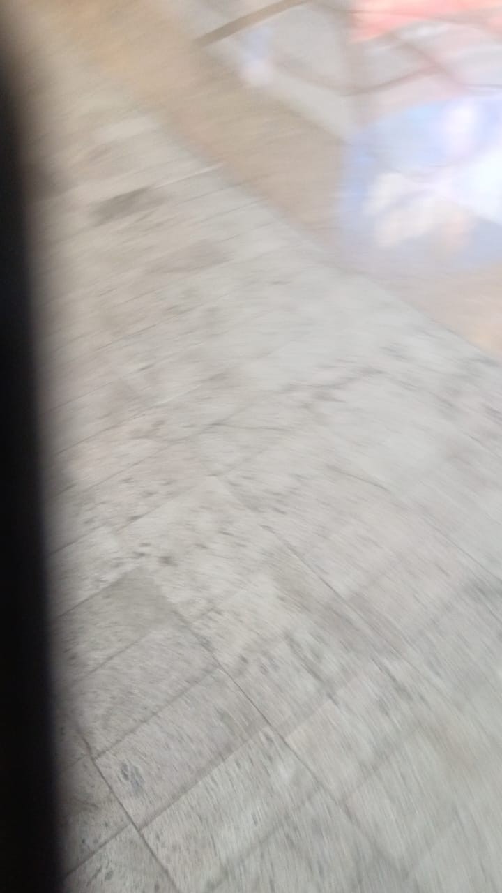 朱伟